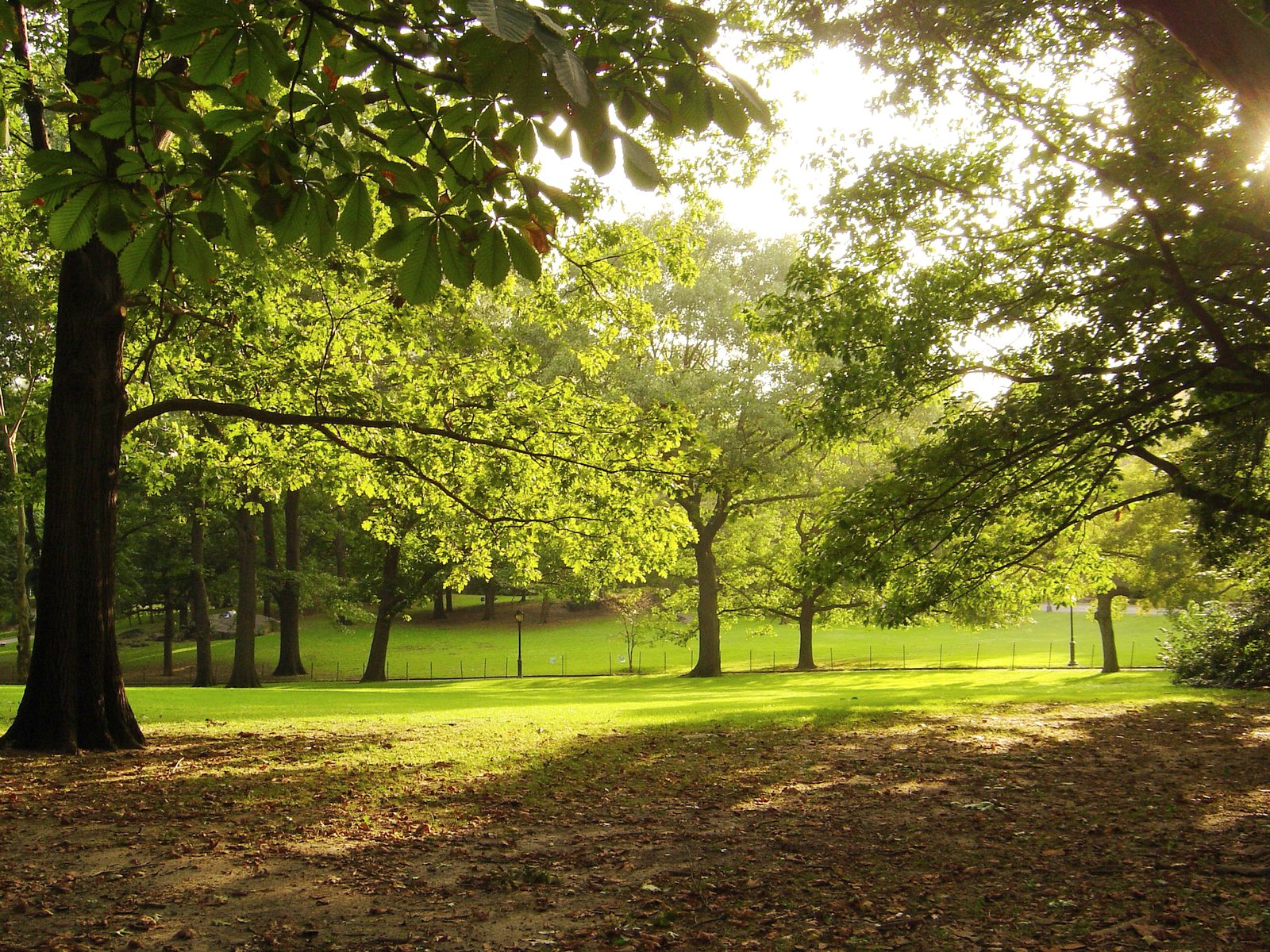 local park