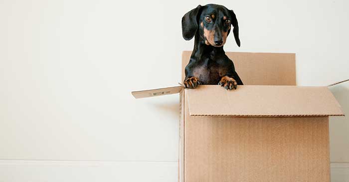 From Novi to West Bloomfield We Can Help You Move!