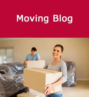 Movers Blog
