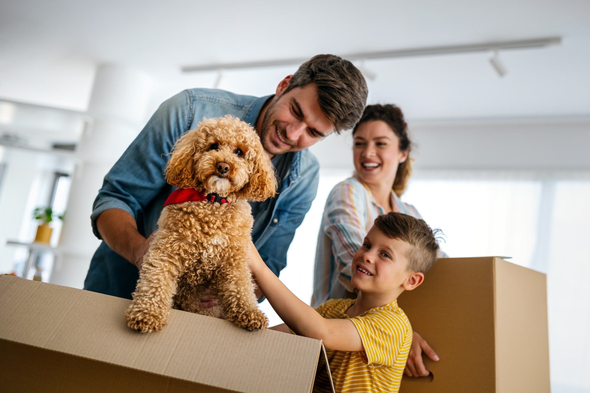 Tips for Livonia Moving 